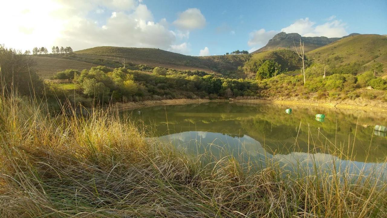 فندق Sonklip ستيلينبوش المظهر الخارجي الصورة